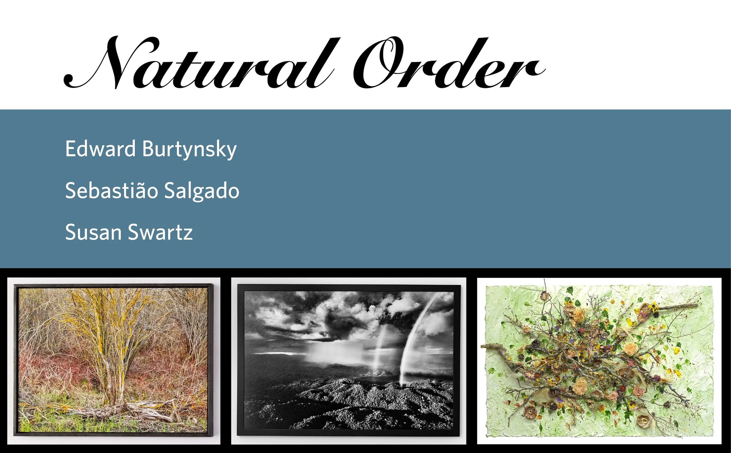 Natural Order — Susan Swartz Studios